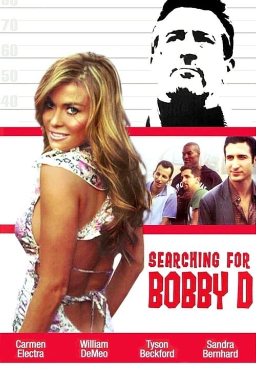 Key visual of Searching for Bobby D