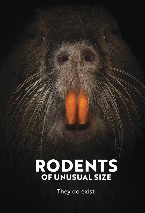 Key visual of Rodents of Unusual Size