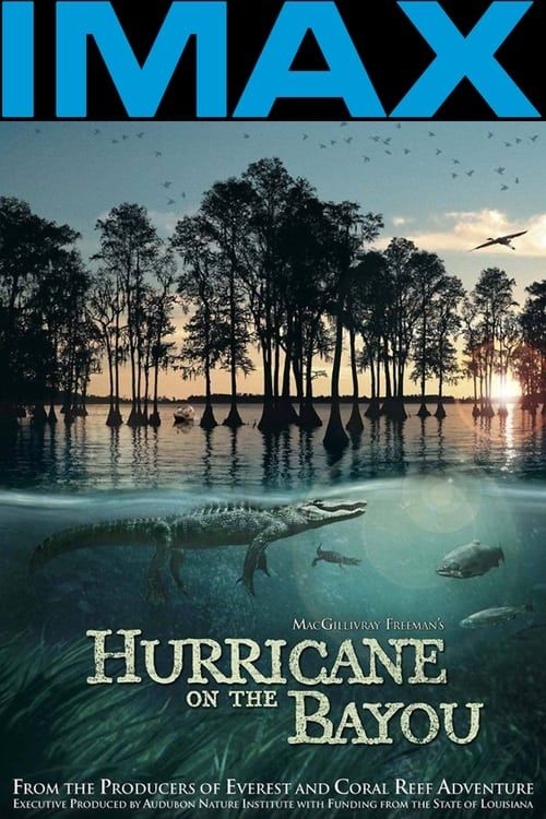 Key visual of Hurricane on the Bayou