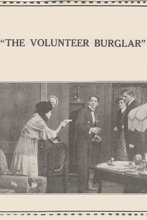 Key visual of The Volunteer Burglar