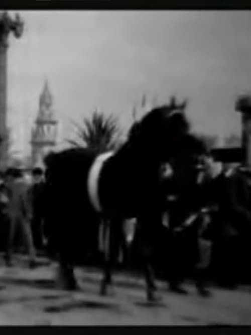 Key visual of Horse Parade at the Pan-American Exposition