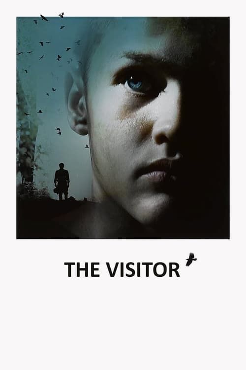 Key visual of The Visitor