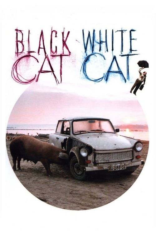 Key visual of Black Cat, White Cat