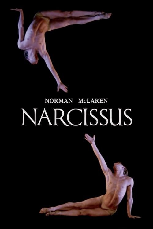 Key visual of Narcissus