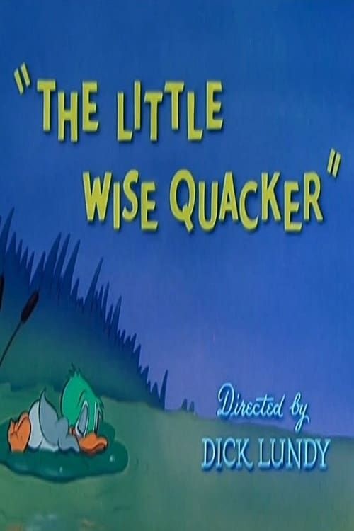 Key visual of The Little Wise Quacker