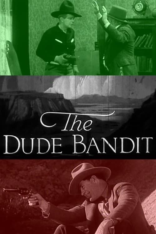 Key visual of The Dude Bandit