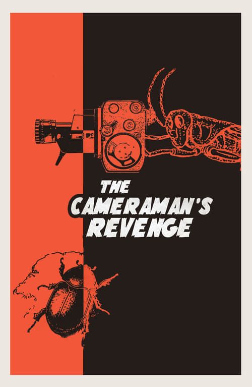 Key visual of The Cameraman's Revenge