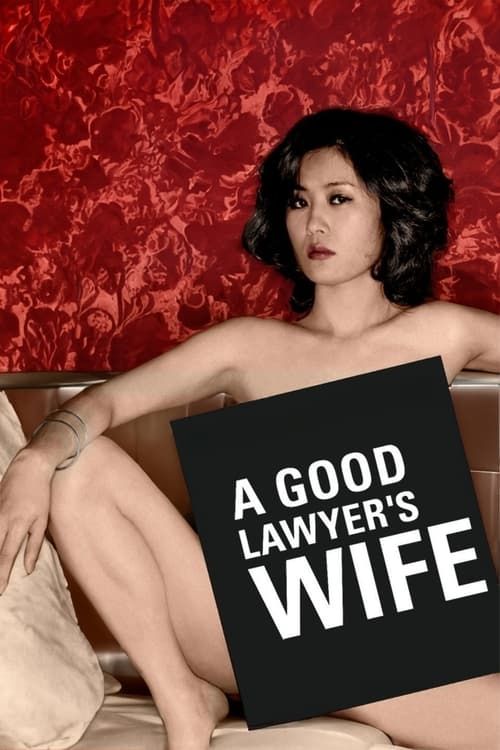 Key visual of A Good Lawyer's Wife