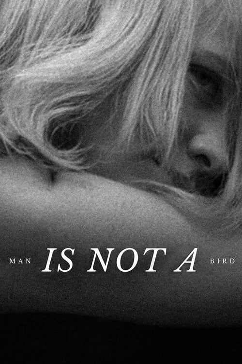 Key visual of Man Is Not a Bird