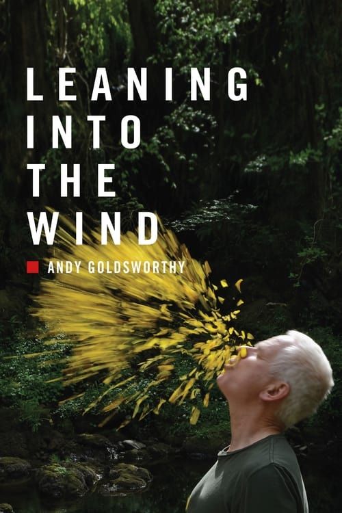 Key visual of Leaning Into the Wind: Andy Goldsworthy