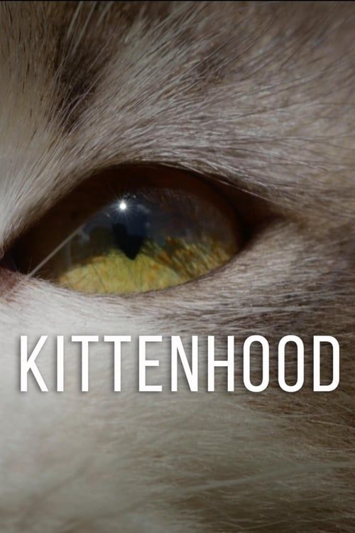 Key visual of Kittenhood