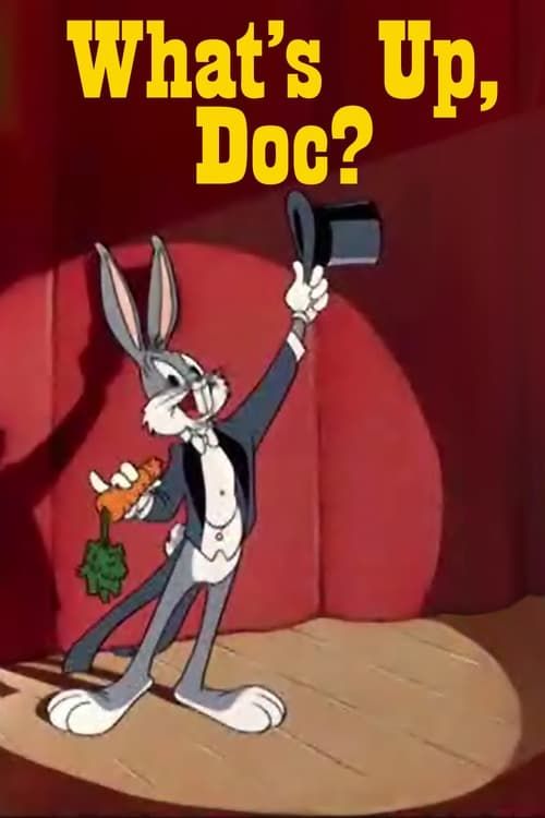 Key visual of What's Up, Doc ?