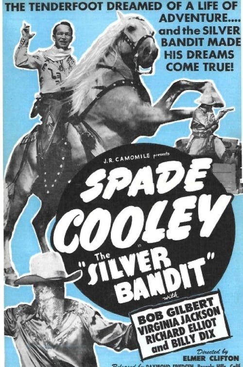 Key visual of The Silver Bandit