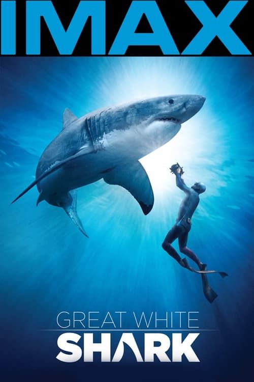 Key visual of Great White Shark