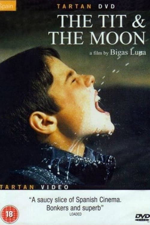 Key visual of The Tit and the Moon