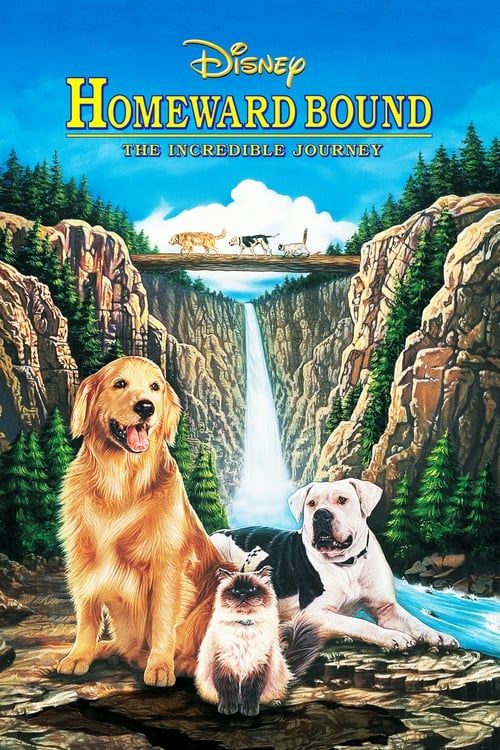 Key visual of Homeward Bound: The Incredible Journey
