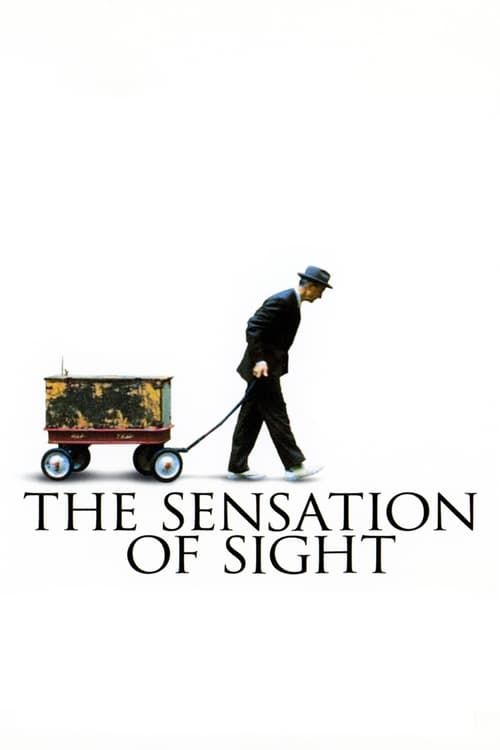 Key visual of The Sensation of Sight