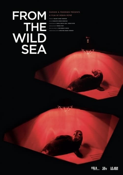 Key visual of From the Wild Sea