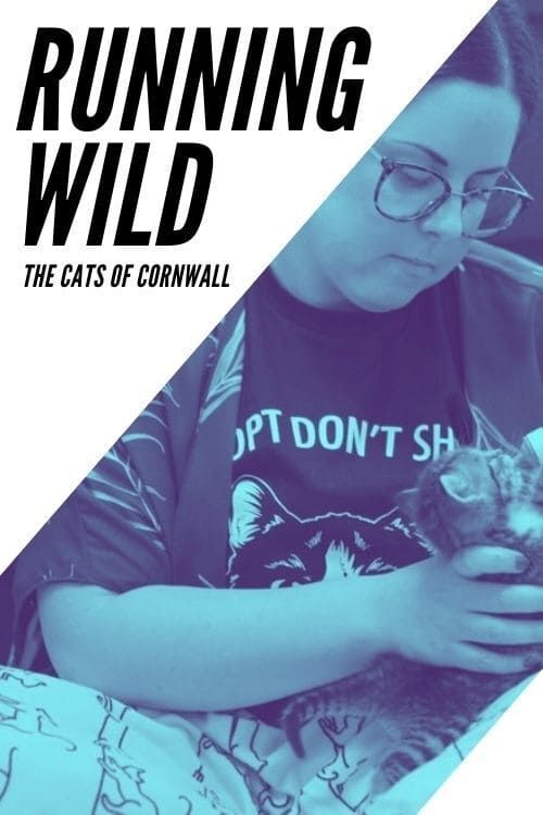 Key visual of Running Wild: The Cats of Cornwall