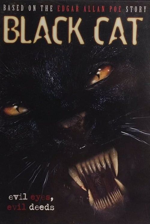 Key visual of Black Cat