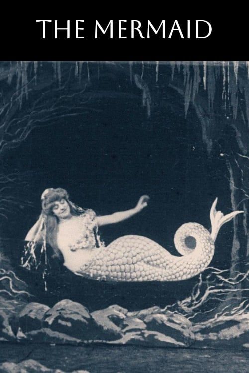 Key visual of The Mermaid