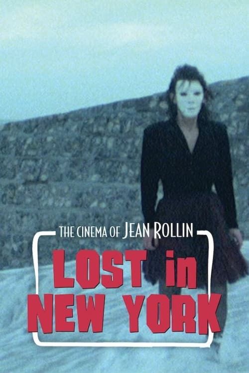 Key visual of Lost in New York