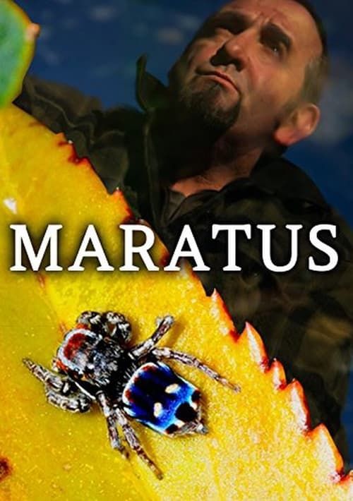 Key visual of Maratus