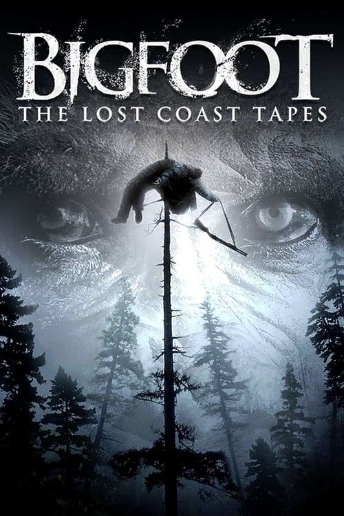 Key visual of Bigfoot: The Lost Coast Tapes