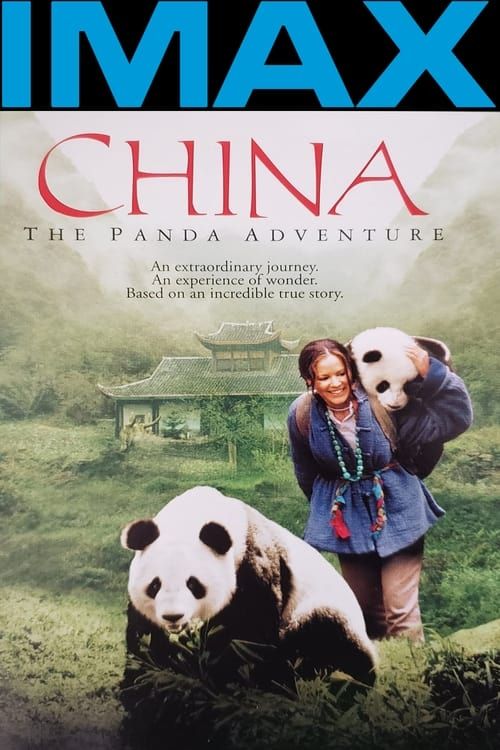 Key visual of China: The Panda Adventure