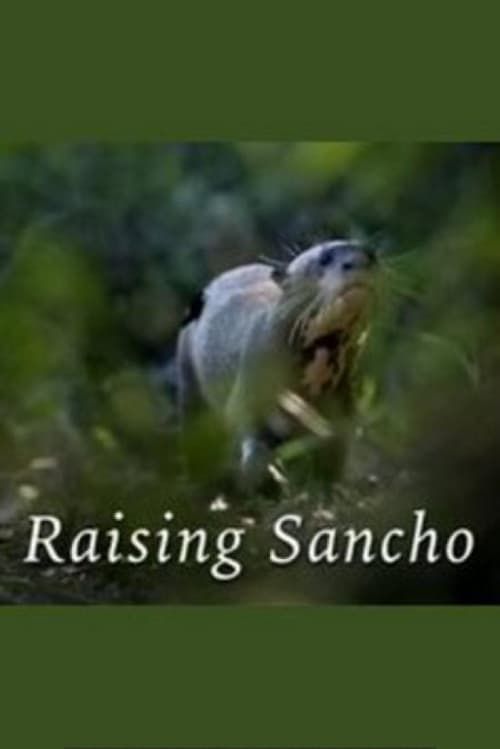 Key visual of Raising Sancho