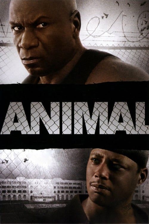 Key visual of Animal