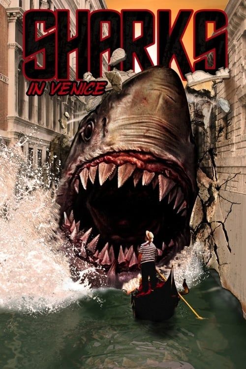 Key visual of Sharks in Venice