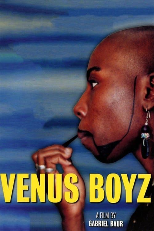 Key visual of Venus Boyz