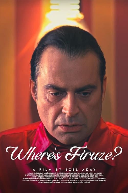 Key visual of Where's Firuze?