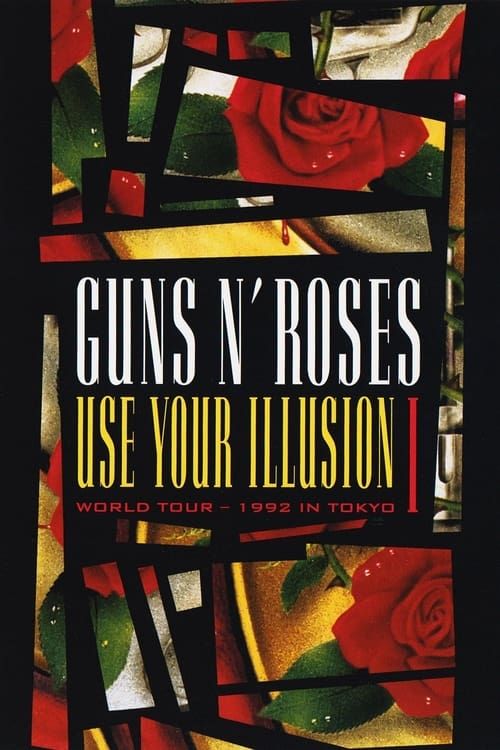 Key visual of Guns N' Roses: Use Your Illusion I