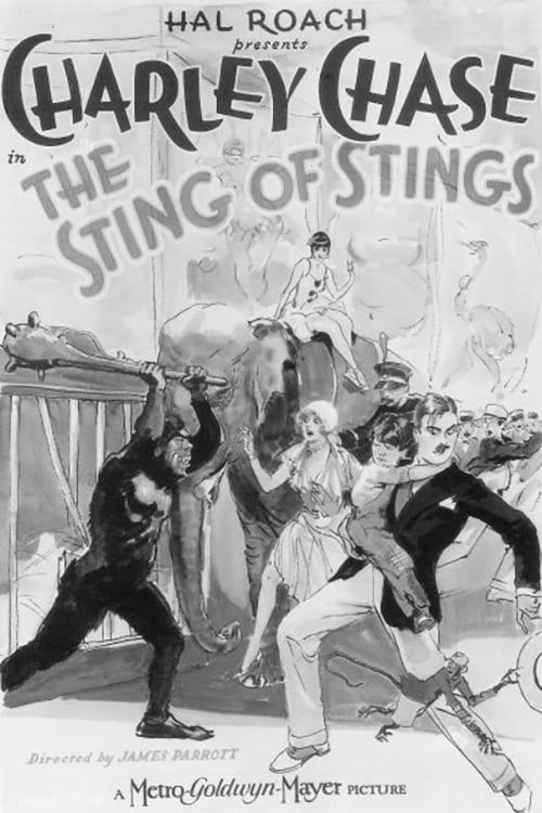 Key visual of The Sting of Stings