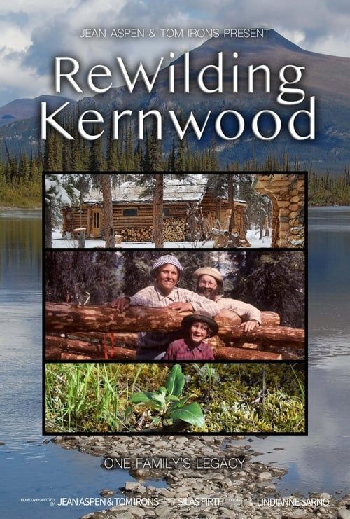 Key visual of ReWilding Kernwood