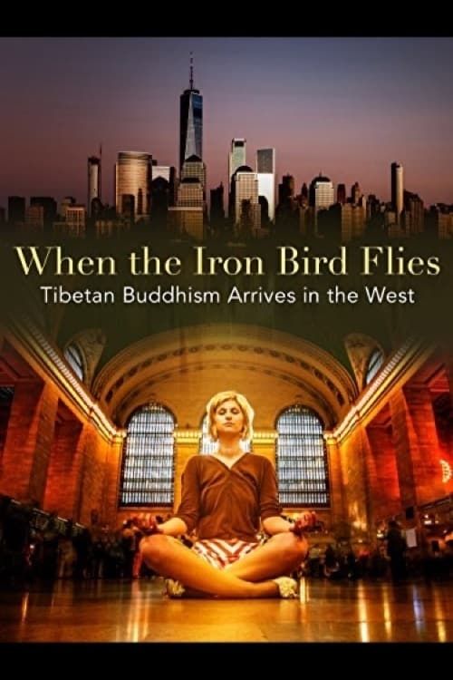 Key visual of When the Iron Bird Flies