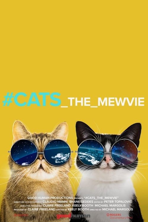 Key visual of #cats_the_mewvie