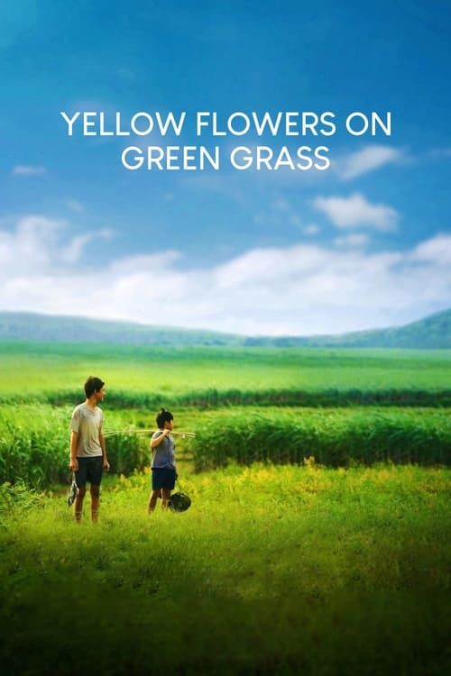 Key visual of Yellow Flowers On the Green Grass