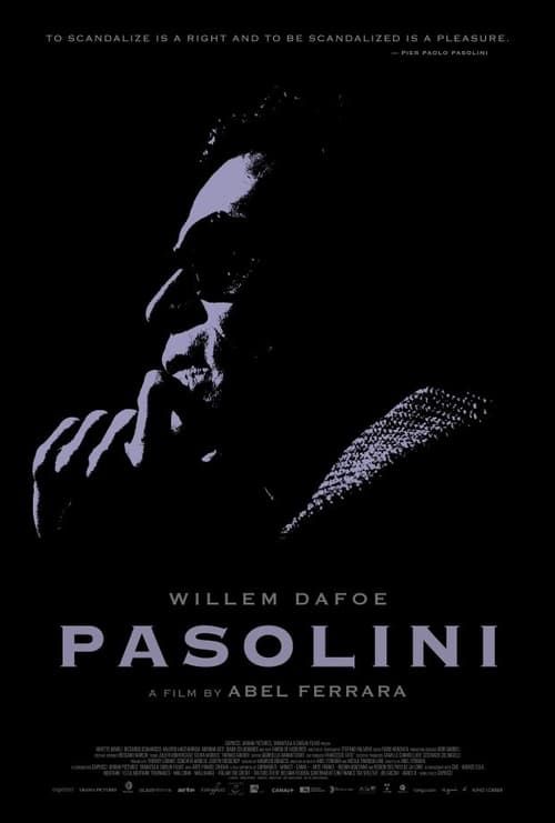 Key visual of Pasolini