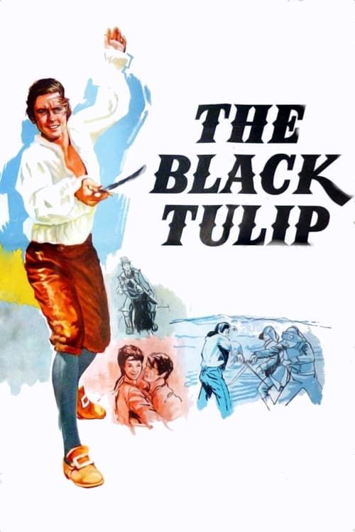 Key visual of The Black Tulip