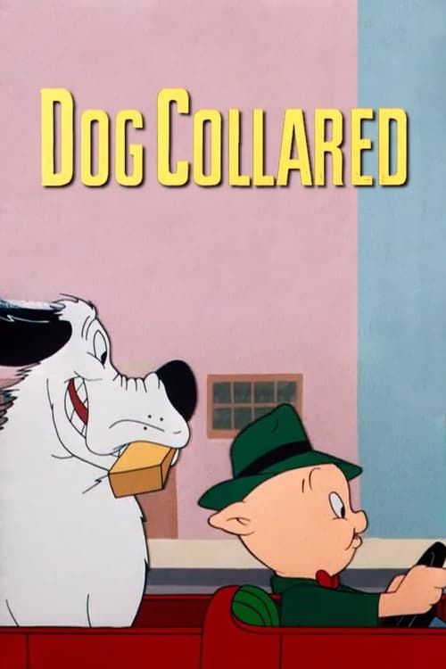 Key visual of Dog Collared