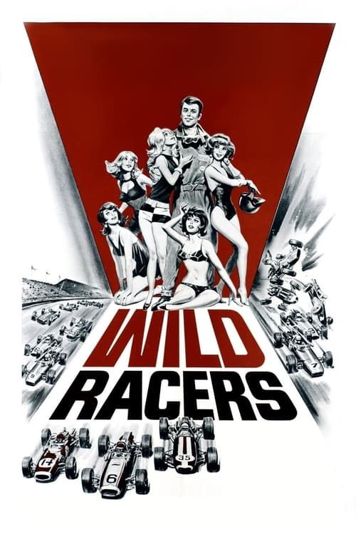 Key visual of The Wild Racers