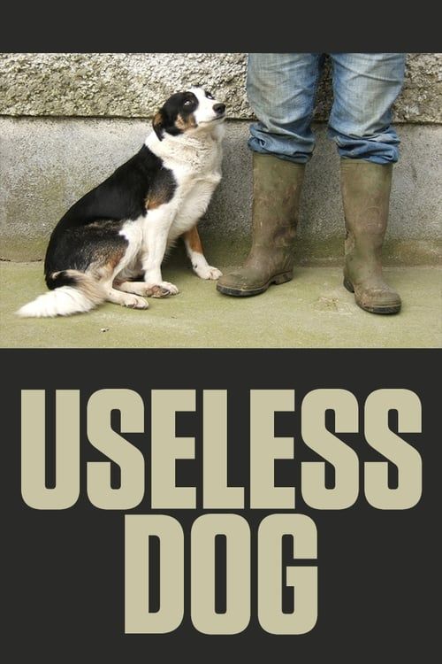 Key visual of Useless Dog