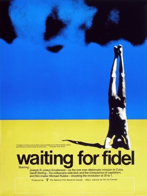 Key visual of Waiting for Fidel