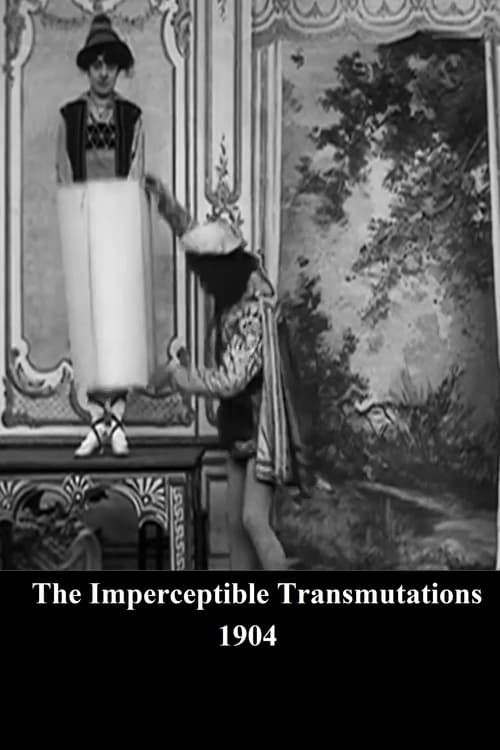 Key visual of The Imperceptible Transmutations