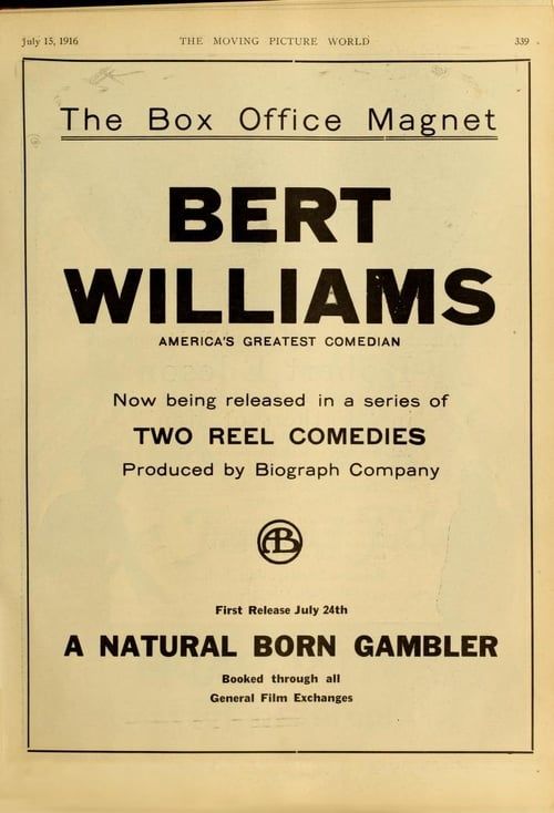 Key visual of A Natural Born Gambler