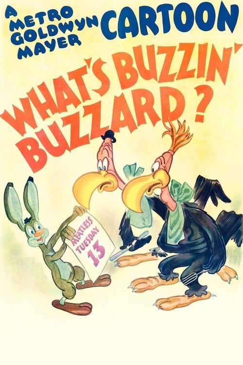 Key visual of What's Buzzin' Buzzard?