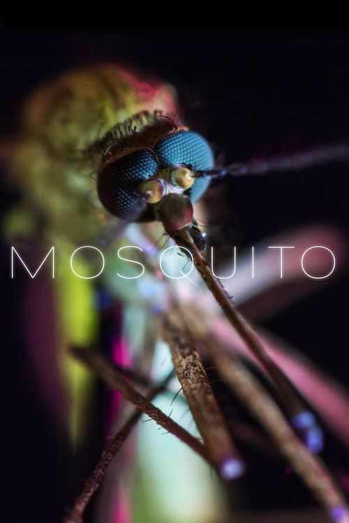 Key visual of Mosquito